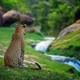 Leopard gazes over lush landscape beside tranquil stream during golden hour Leopard gazes over lush landscape beside tranquil stream during golden hour - PhotoDune Item for Sale
