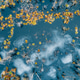 Arctic Peat Bog Ice Water Orange Moss Climate Warming Aerial Arctic Peat Bog Ice Water Orange Moss Climate Warming Aerial - PhotoDune Item for Sale