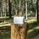 A close up of a square block of salt on a tree stump in the woods A close up of a square block of salt on a tree stump in the woods - PhotoDune Item for Sale