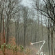Rural Tree Lined Forest! Bucket Truck Cutting Tree Branches From the Wires! Rural Tree Lined Forest! Bucket Truck Cutting Tree Branches From the Wires! - PhotoDune Item for Sale