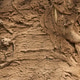 Natural Mud Texture with Earthy Patterns and Organic Details Natural Mud Texture with Earthy Patterns and Organic Details - PhotoDune Item for Sale