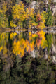 Reflections of Autumn Reflections of Autumn - PhotoDune Item for Sale