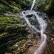 A stream flows calmly down through a grove of trees A stream flows calmly down through a grove of trees - PhotoDune Item for Sale