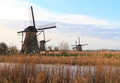 Windmills at Kinderdijk in Holland. Famous destination & tourist attraction, fall reeds foreground. Windmills at Kinderdijk in Holland. Famous destination & tourist attraction, fall reeds foreground. - PhotoDune Item for Sale