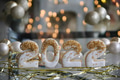 2022 New Year cookies with bokeh lights in background golden strings & balls to welcome the new year 2022 New Year cookies with bokeh lights in background golden strings & balls to welcome the new year - PhotoDune Item for Sale
