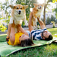 in the park in summer couple lying on the grass holding and hugging a corgi dog like small child in the park in summer couple lying on the grass holding and hugging a corgi dog like small child - PhotoDune Item for Sale