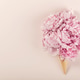 Pink Peony Ice Cream Cone on Soft Pastel Background Pink Peony Ice Cream Cone on Soft Pastel Background - PhotoDune Item for Sale