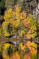 Autumn Colored Trees At The Lake Autumn Colored Trees At The Lake - PhotoDune Item for Sale