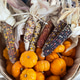 Ornamental Corn and Pumpkins! Ornamental Corn and Pumpkins! - PhotoDune Item for Sale
