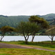 Sao Miguel Island Lakeside Trees Sao Miguel Island Lakeside Trees - PhotoDune Item for Sale