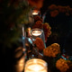 In Memory of Life In Memory of Life - PhotoDune Item for Sale