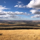 Endless golden fields and vast open skies in the scenic landscapes of Idaho Endless golden fields and vast open skies in the scenic landscapes of Idaho - PhotoDune Item for Sale