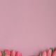 Border from Pink Tulip Bouquet on Soft Pink Background. Elegant Spring Floral Flatlay Border from Pink Tulip Bouquet on Soft Pink Background. Elegant Spring Floral Flatlay - PhotoDune Item for Sale