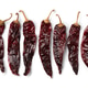 Dried Mexican guajillo chili peppers in a row on white background close up Dried Mexican guajillo chili peppers in a row on white background close up - PhotoDune Item for Sale