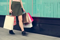 Young Woman Shopping Consumer Concept Young Woman Shopping Consumer Concept - PhotoDune Item for Sale