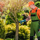 Gardener Works on Tree Care in Sunny Park Setting Gardener Works on Tree Care in Sunny Park Setting - PhotoDune Item for Sale