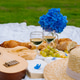 Picnic in park Picnic in park - PhotoDune Item for Sale