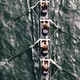 Overhead view of female crew racers rowing in an octuple racing shell ...