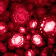 Red blood cells Red blood cells - PhotoDune Item for Sale