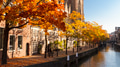Urban fall in the Dutch city of Dordrecht! Golden yellow and orange trees along the old cathedral. Urban fall in the Dutch city of Dordrecht! Golden yellow and orange trees along the old cathedral. - PhotoDune Item for Sale
