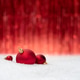 Christmas Background With Red Baubles On Snow And Festive Copy Space Christmas Background With Red Baubles On Snow And Festive Copy Space - PhotoDune Item for Sale
