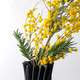 ellow Mimosa Branch in Black Spiral 3D Printed Vase ellow Mimosa Branch in Black Spiral 3D Printed Vase - PhotoDune Item for Sale