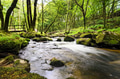 Golitha Falls in Cornwall Golitha Falls in Cornwall - PhotoDune Item for Sale