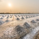 Salt Farm Salt Farm - PhotoDune Item for Sale
