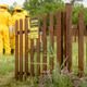 Beekeepers working together in wooden apiary
.CR2 Beekeepers working together in wooden apiary
.CR2 - PhotoDune Item for Sale