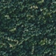 Seamless dark green ivy wall pattern Seamless dark green ivy wall pattern - PhotoDune Item for Sale