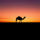Natural Landscape Background for Travel and Tourism Natural Landscape Background for Travel and Tourism - PhotoDune Item for Sale