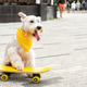 Funny white dog in yellow bandana sits on yellow skateboard, tongue out Funny white dog in yellow bandana sits on yellow skateboard, tongue out - PhotoDune Item for Sale