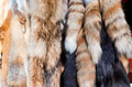 Close-up of fox tail souvenirs at oriental marketplace Close-up of fox tail souvenirs at oriental marketplace - PhotoDune Item for Sale