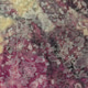 Vivid grunge texture.... Vivid grunge texture.... - PhotoDune Item for Sale