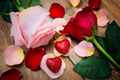 Valentines Day greeting with roses and two hearts on the wooden Valentines Day greeting with roses and two hearts on the wooden - PhotoDune Item for Sale