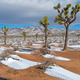 Desert Snow Drifts and Mountains in the Spring Desert Snow Drifts and Mountains in the Spring - PhotoDune Item for Sale