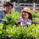 A father and daughter care for fresh green plants together in a backyard garden A father and daughter care for fresh green plants together in a backyard garden - PhotoDune Item for Sale