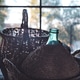 carboy and wicker basket carboy and wicker basket - PhotoDune Item for Sale