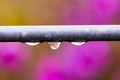 Rain drops on an iron bar Rain drops on an iron bar - PhotoDune Item for Sale