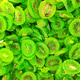 Close-up view of numerous sliced pieces of kiwi fruit. Close-up view of numerous sliced pieces of kiwi fruit. - PhotoDune Item for Sale