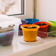 Collection of colorful pots with seedlings on a windowsill concept of indoor gardening Collection of colorful pots with seedlings on a windowsill concept of indoor gardening - PhotoDune Item for Sale