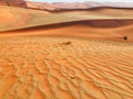 Mixture of Different Kinds of Dune Sand Mixture of Different Kinds of Dune Sand - PhotoDune Item for Sale