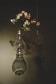 Light bulb and flowers on dark background with reflection. Vintage tone. Light bulb and flowers on dark background with reflection. Vintage tone. - PhotoDune Item for Sale