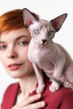 Sphynx Hairless kitten looking at camera sitting on shoulder of redhead young woman with short hair Sphynx Hairless kitten looking at camera sitting on shoulder of redhead young woman with short hair - PhotoDune Item for Sale