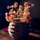 backlited flowers in vase on the table in sunset time backlited flowers in vase on the table in sunset time - PhotoDune Item for Sale