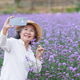 Happy Asian Senior Woman Taking Selfie in Purple Flower Field Happy Asian Senior Woman Taking Selfie in Purple Flower Field - PhotoDune Item for Sale