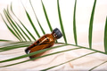 Amber bottle with a green leaf background Amber bottle with a green leaf background - PhotoDune Item for Sale