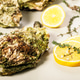 Food banner. Close-up fresh Pacific oysters on a light background. Lemon and oregano. Food banner. Close-up fresh Pacific oysters on a light background. Lemon and oregano. - PhotoDune Item for Sale
