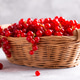 Ripe red currants Ripe red currants - PhotoDune Item for Sale