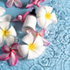 Revitalize your skin with this floral hydrating serum and plumeria flowers in a serene setting Revitalize your skin with this floral hydrating serum and plumeria flowers in a serene setting - PhotoDune Item for Sale